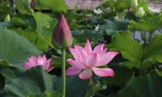 在天气炎热的夏季，使用短信向客户致以问候，并促进销售的有效方式