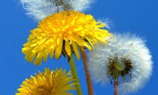 让人震撼的气场非凡、十分酷炫的个性化签名