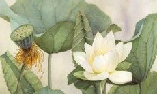 受到分手创伤后，女生心中萦绕着令人心痛无比的句子