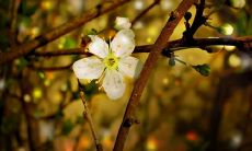 这句话的衍生标题：