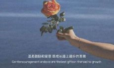 经过深夜挣扎，终于创造出的适合凌晨发的，令人丧到极致的文案句子