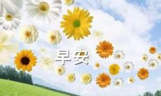 研究发现：高智商人群运用的撩妹/撩汉情话套路，具有创新性和智慧，从而引领着现代恋爱模式的新风尚！特别是早安类的情话，更在情感沟通中扮演着重要的角色！