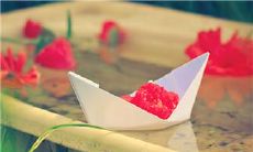 用感恩心态表达内心情感的句子