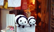 秋季祝福问候文本消息：用温馨话语传递心意的最佳方式