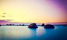 超全客户问候语短信合集，包含各种场景的问候语，绝对让你的客户感受到温暖和关心！