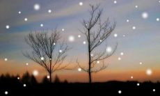 如何用短信祝福朋友在雪花纷飞的美丽冬日里度过愉快的时光？