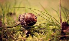 如何在天气变化时给客户发出有关问候和提醒的短信？