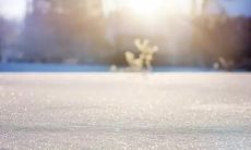 突如其来的下雪让我们分外激动，赶忙向朋友发去温馨的问候短信