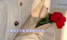 以温馨问候叩响客户门：晨曦短信为您送上的美好感受