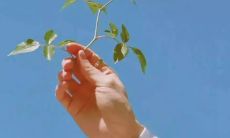 如何利用短信问候客户以增加钢铁销售？