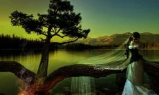 激励人心、啟迪智慧的励志格言和富有哲理的名言佳句，启迪人们独具慧眼、耐得住寂寞、精通变通的管道與方法