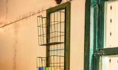 精选自然瑰丽、充满爱意的句子，带来幸福感受，令人开心愉悦