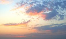 用有力的言语疗愈内心：探索文案句子的治疗之路