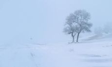探索未知，开启开心旅途，心境拓宽无尽远景——一些描述旅途心情的句子