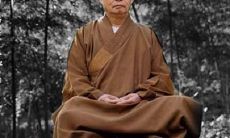 五十句净慧长老禅语，带领您探索禅宗智慧世界（第一部分）