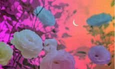 精彩动人的爱情句子，瞬间勾起心底深处的感动和情感