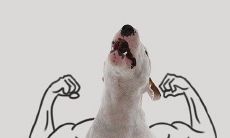 提升友谊的方法：分享这些逗趣幽默句子，让朋友们开怀大笑！