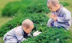 20句佛学禅语引领人生之道：第八章