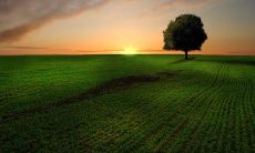 经历沧海桑田的人生，唯美句子的启示