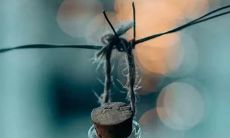 班级嗓门喊出"三字押韵"，让我们的团队更有凝聚力和战斗力！