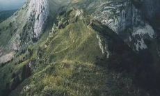 提高房产中介业务的口号，让你的生意更加靠谱和成功