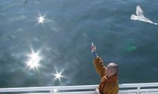 探寻慈悲境界：20句海涛法师引领我们深入体悟慈悲哲理的禅语