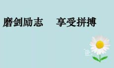 请问超人队成员都有哪些标志性口号和口号内涵？