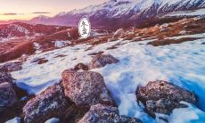 无论寒冬紧迫，冬至之际发出的那些温暖句子，都能盈盈道来，给你温暖的心灵注入无尽力量！