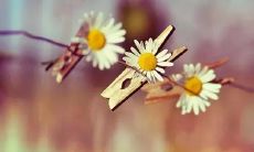 掀起流行风潮的抖音治愈系句子，引领心灵抚慰时代的新浪潮