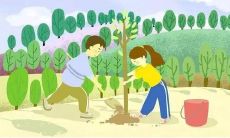 让我们绿色起航，在植树节这个春天，一起种下希望，共创美好未来！