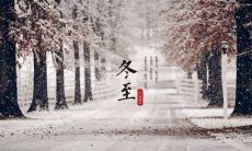 欢度冬至，送上温馨祝福，愿你冬日暖心，岁月安好！