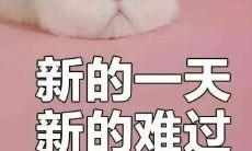 日常琐碎句子，哄人发笑又显得有点矫情