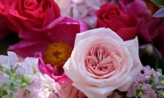 《以简洁干净的话语鼓舞人心的励志句子》