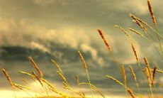 唯美的句子，用于回忆友情的美妙岁月