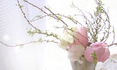 在社会中心怀感恩 快乐成长 的心情与态度