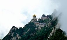 在中国传统文化中，如何用短信发送正月十五的问候信息？