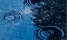 爆笑程度极高、让人欲罢不能的可爱幽默文爱：集结笑料炸裂的惊人搞笑句子群！