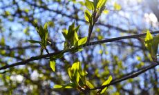在春暖花开的美好季节里，激发心情愉悦的句子