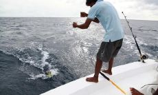 探究励志与不开心的矛盾感：感受情绪起伏的句子，以及表达心情短语