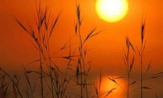 分享一些最真挚的祝福，希望能让朋友们感到快乐和幸福，用言语倾诉自己的心情