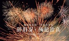 用优美绝伦的语言描绘绽放的烟花，洁白如云的火花漫天飞舞，璀璨多姿的光影在黑夜里绽放，仿佛仙境中的仙女散落神仙花瓣，令人陶醉忘返