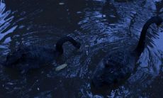 快乐的同事聚集在一起时所说的愉快语句