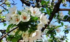 探寻七年之痒所带来的深刻心痛的表达方式