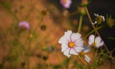 祝福公司在金牛新年里获得大量商机，迈向辉煌未来且名利双收！