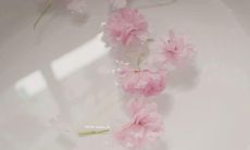 通过表达情感的句子述说我们心中所想的亲情感受