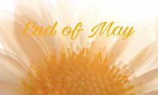 祝愿我们的公司在2021牛年更加壮大，拓展业务，提升竞争力，成为业界领袖！