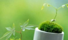 无法挽回的遗憾：那些不可改变的言语或行为带来的后悔