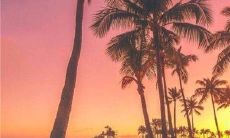 缅怀过去：充满文艺气息的关于亲情的句子，带你回味旧时光