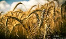 涵盖各类场景和主题的数百句现代励志名言名句，让你受益一生！