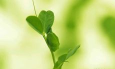 收集精彩的激励名言，激发学习热情，助你在学识堆砌的路途中不停前行